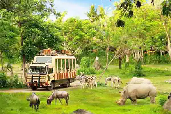 jungle hopper legend package jungle hopper legend package